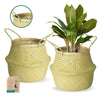 Wicker Planter Basket For 10 Inch Plant Pot